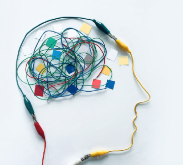 Curso de entrenamiento EEG