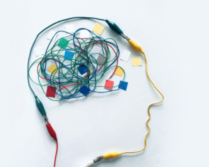 EEG Training Course