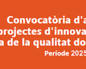 Convocatòria d'ajuts per a projectes d'innovació docent i millora de la qualitat docent 2025-27