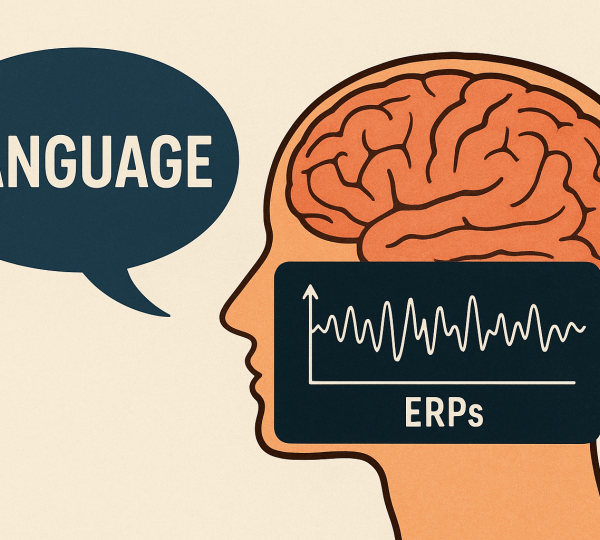Taller sobre neuroimatge del llenguatge mitjançant potencials evocats (ERPs)